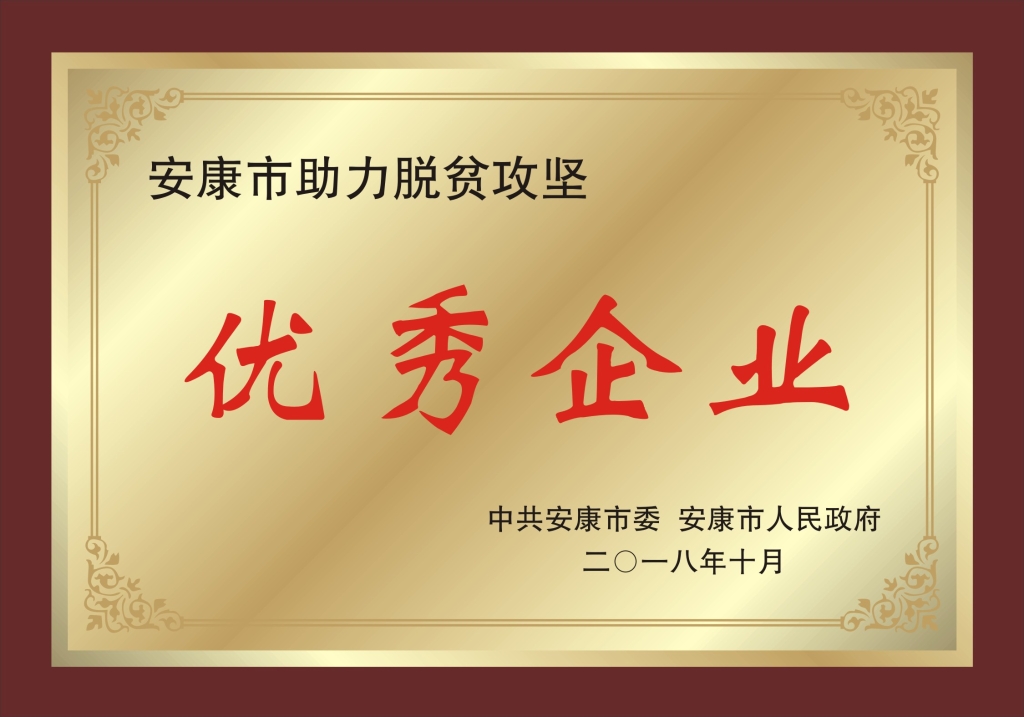 陽晨公司在全市助力脫貧攻堅(jiān)表彰會中被授予 “優(yōu)秀企業(yè)”和“優(yōu)秀企業(yè)家”稱號